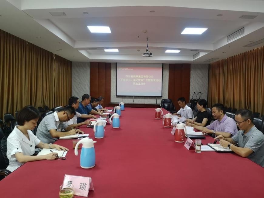 集團(tuán)公司召開(kāi)“不忘初心、牢記使命”主題教育活動(dòng)民主生活會(huì)