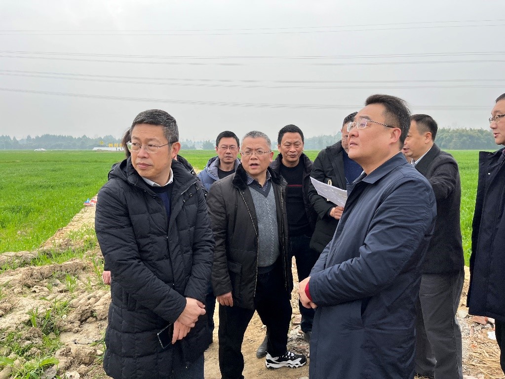 省社、省供投集團(tuán)領(lǐng)導(dǎo)調(diào)研青白江區(qū)四川現(xiàn)代供銷種業(yè)園區(qū)