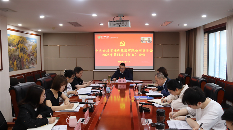 集團(tuán)公司召開(kāi)2025年第11次黨委（擴(kuò)大）會(huì)議