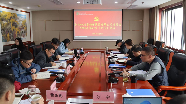 集團(tuán)公司召開(kāi)2025年第47次黨委（擴(kuò)大）會(huì)議