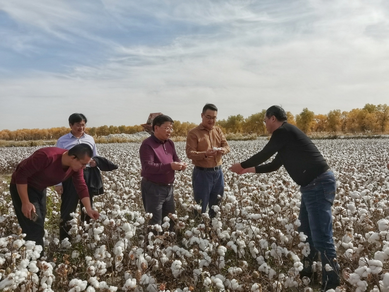 1604049514521575.jpg 圖2.jpg