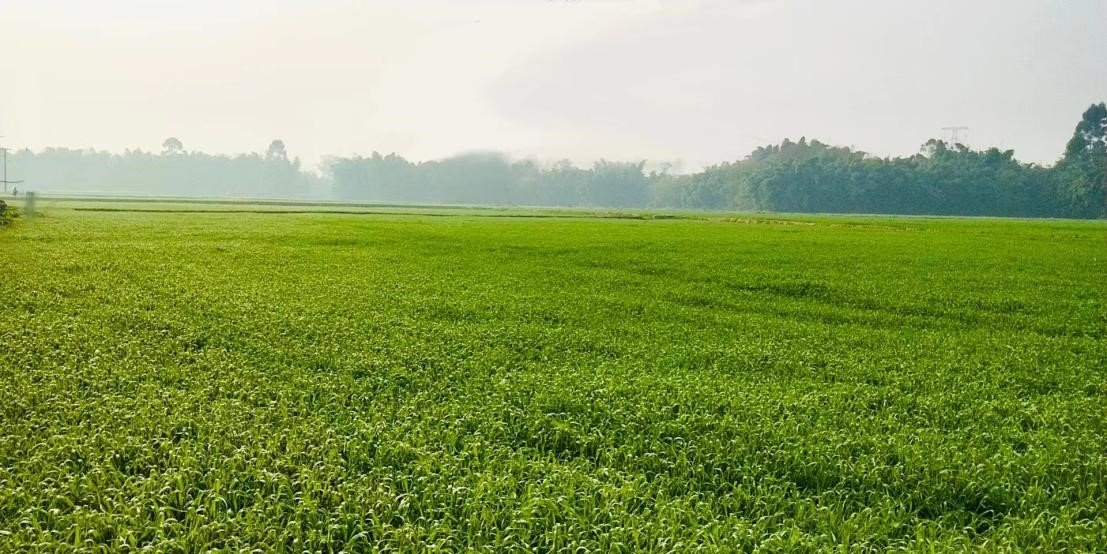 1646129333244612.jpg 1646129333244612.jpg