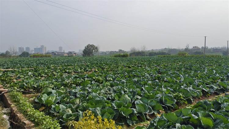 1669549451253122.jpg 圖片1.jpg