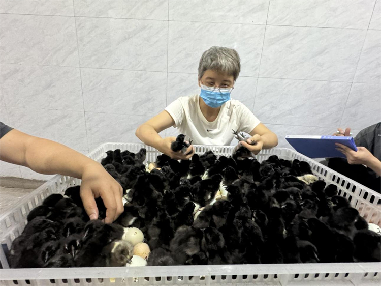 1726039810492411.jpg mtxx02.jpg